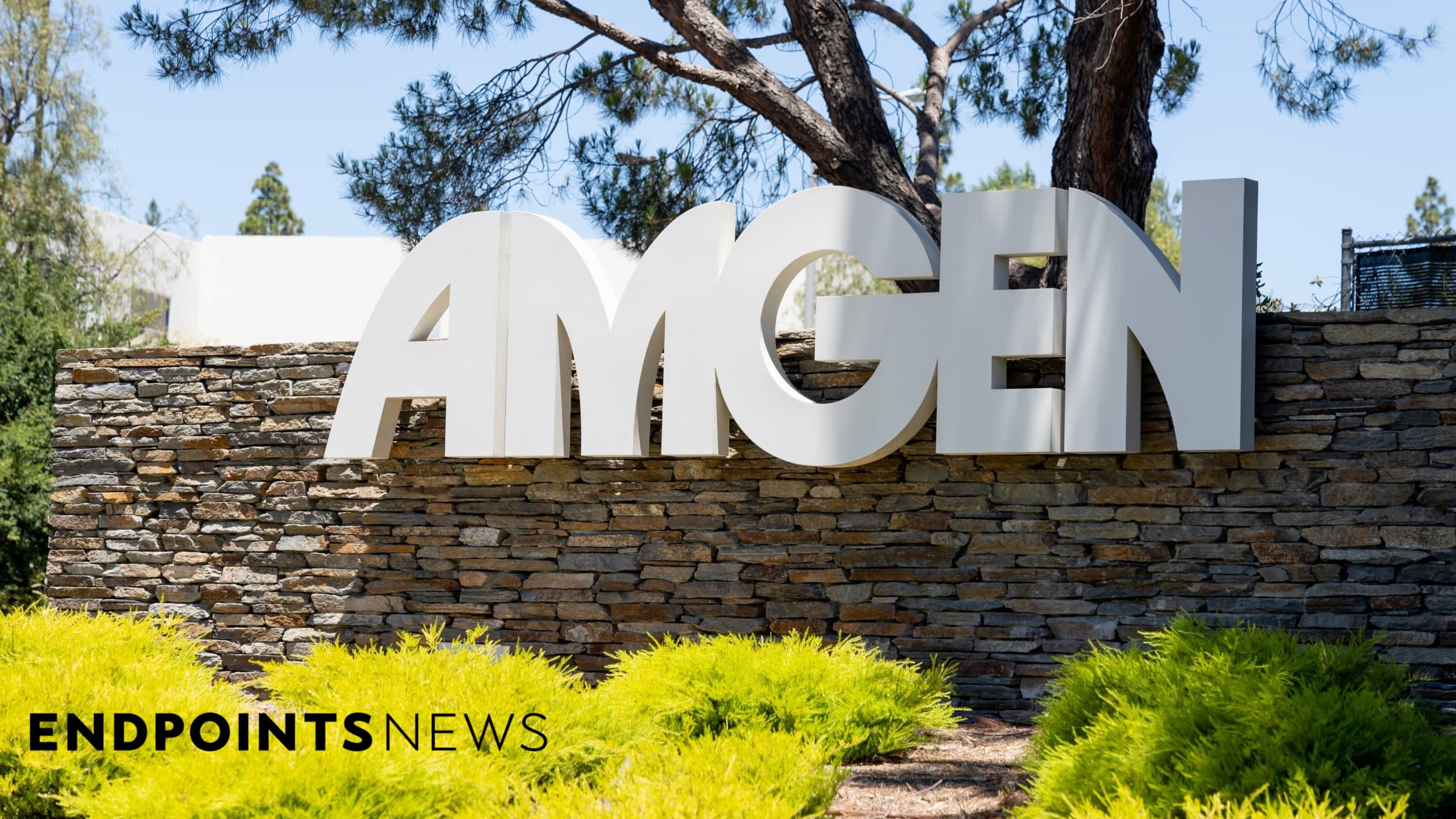 Amgen plans more gradual MariTide dosing in Phase 3