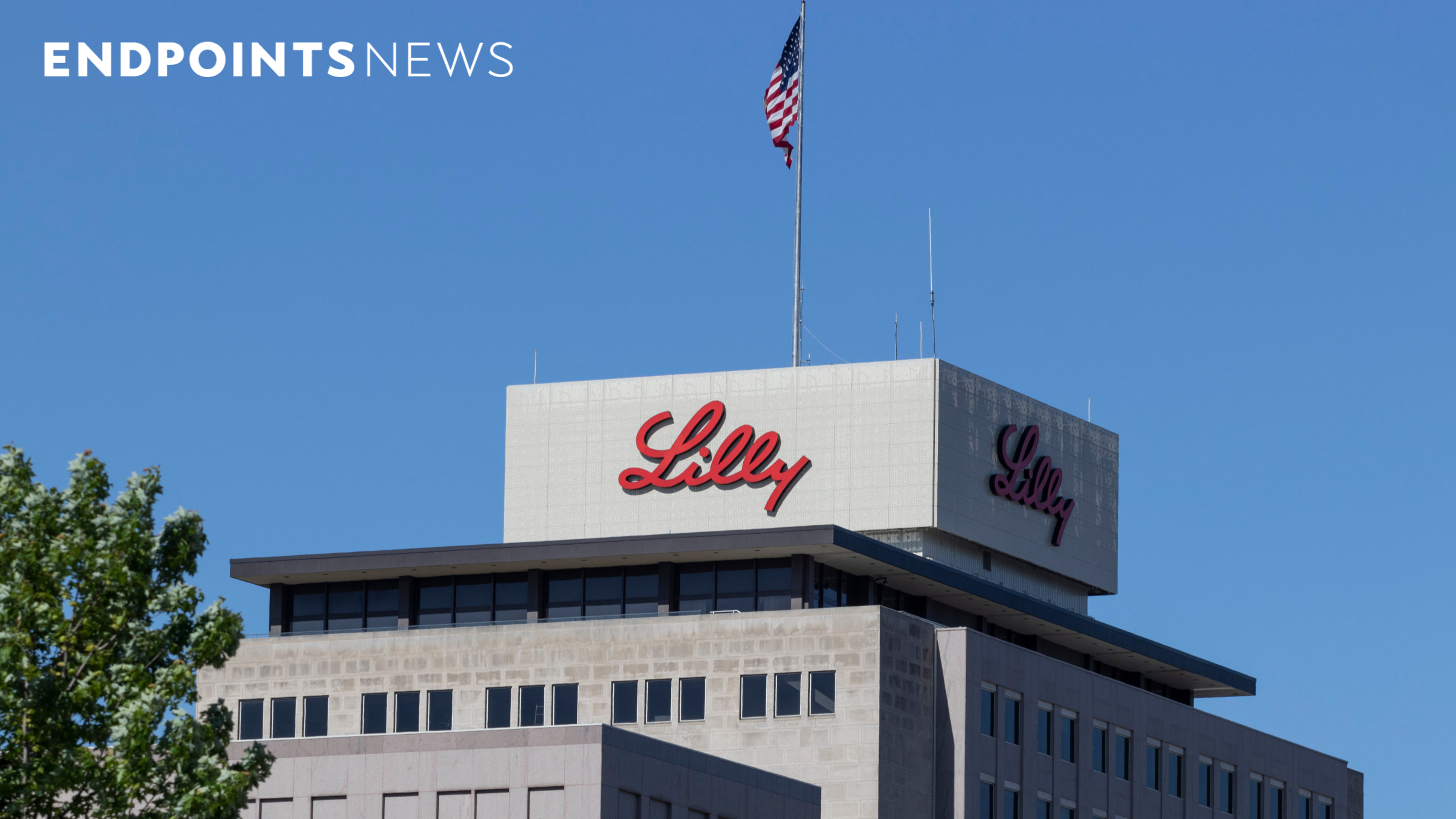 #ADA25: Lilly’s bimagrumab boosts weight and fat loss when added to Novo's Wegovy
