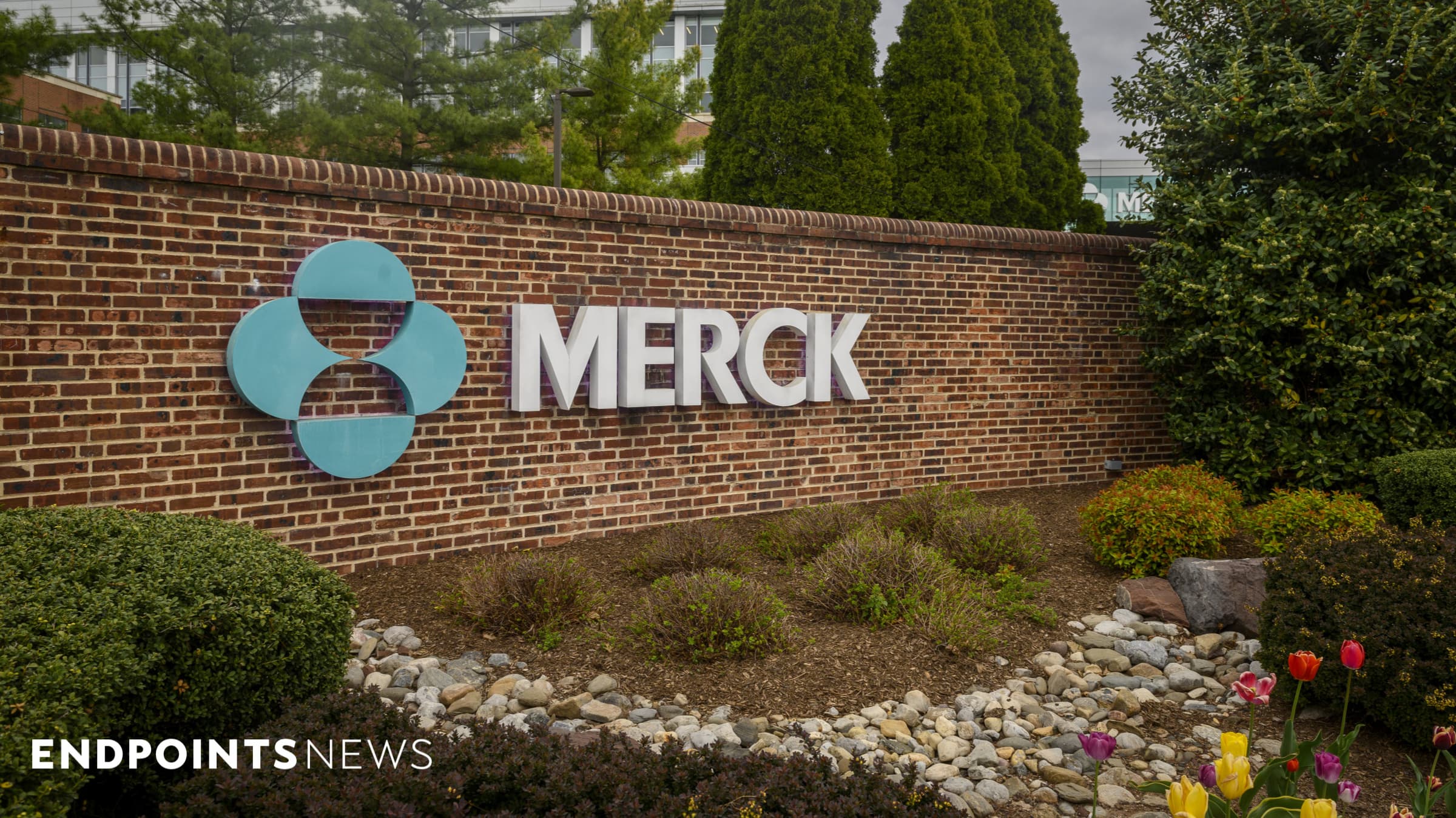 FDA approves Merck's RSV antibody drug for babies