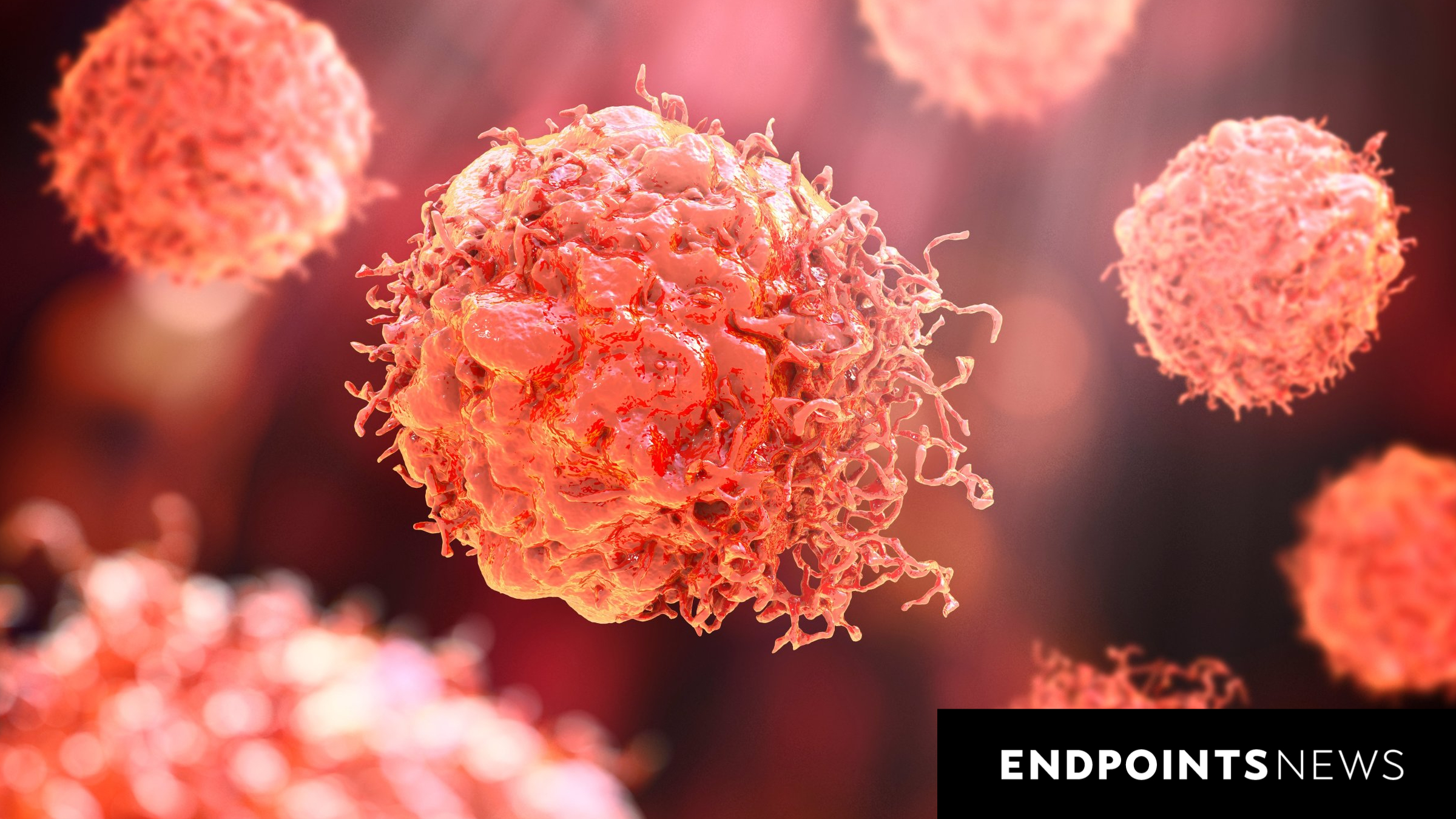 Immuneering reports Phase 2a MEK pill data in first-line pancreatic cancer