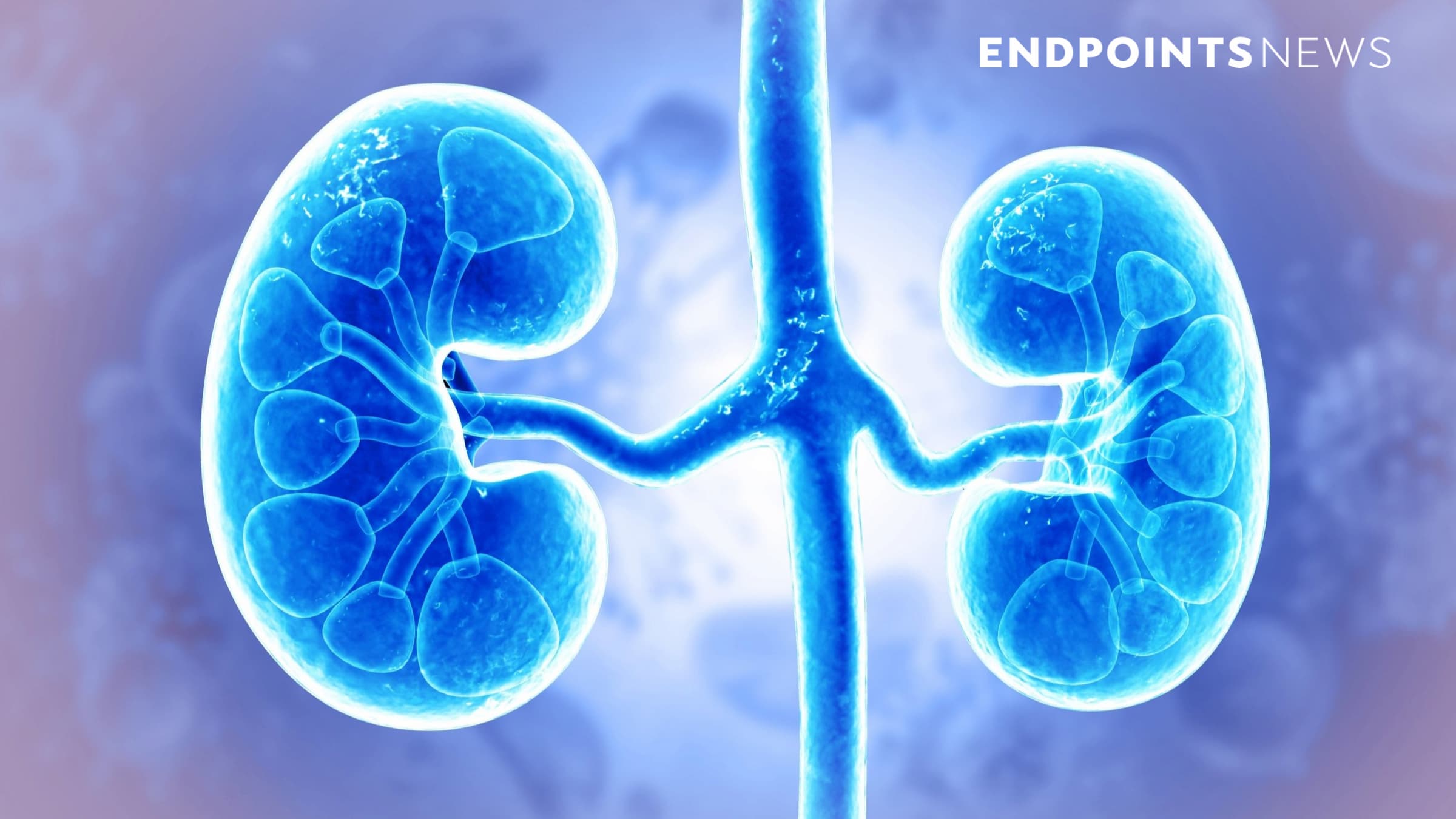 Mineralys' lorundrostat gets a Phase 2 win in certain patients with hypertension